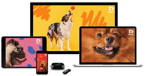 DOGTV_devices_transparent_background DOGTV_devices_transparent_background