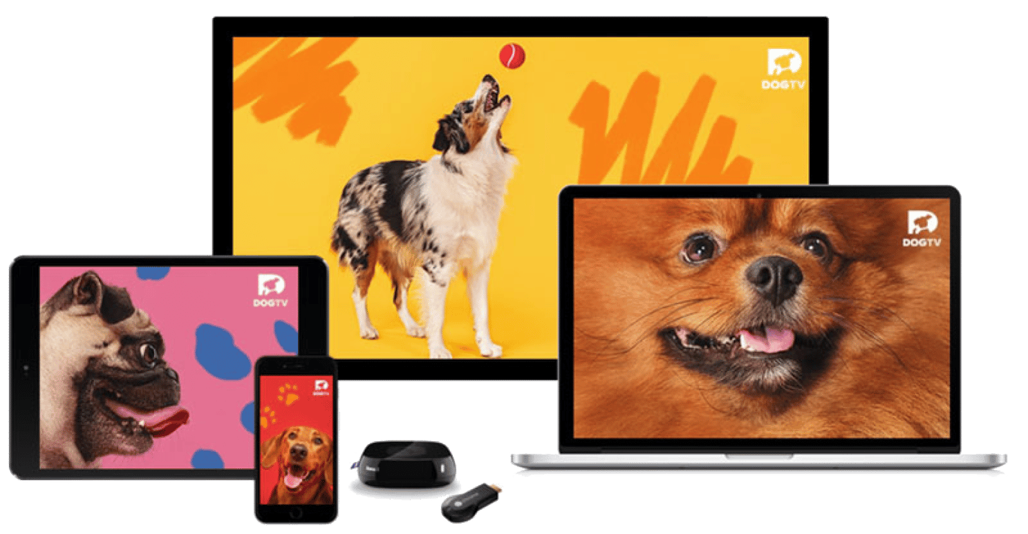 DOGTV_devices_transparent_background