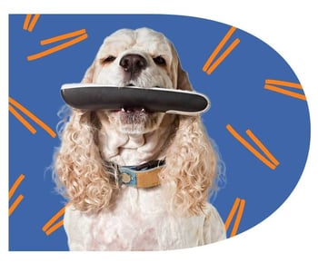 Dog remote blue Dog remote blue