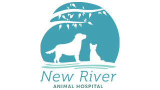 New River Animal Hospital