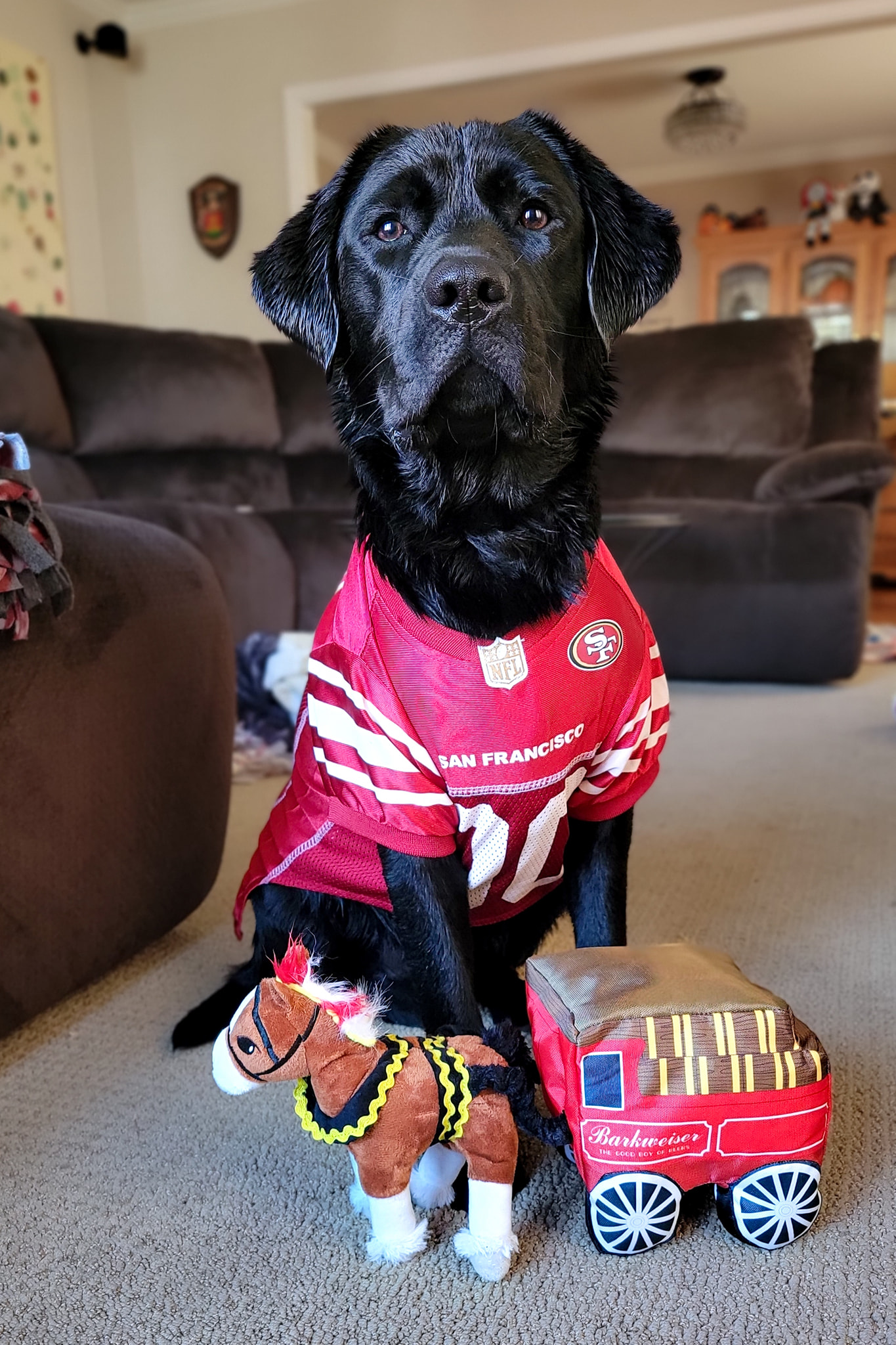 Schonen_football_jersey_san francisco